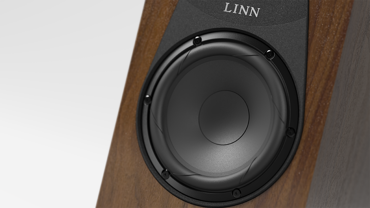 Linn 119 Array